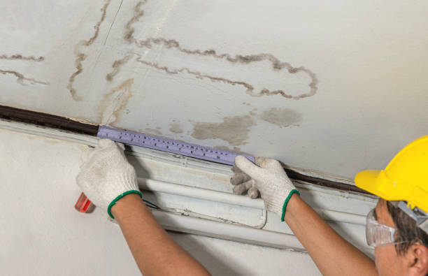 Affordable Water Damage Repair solutions in Nicoma Park, OK